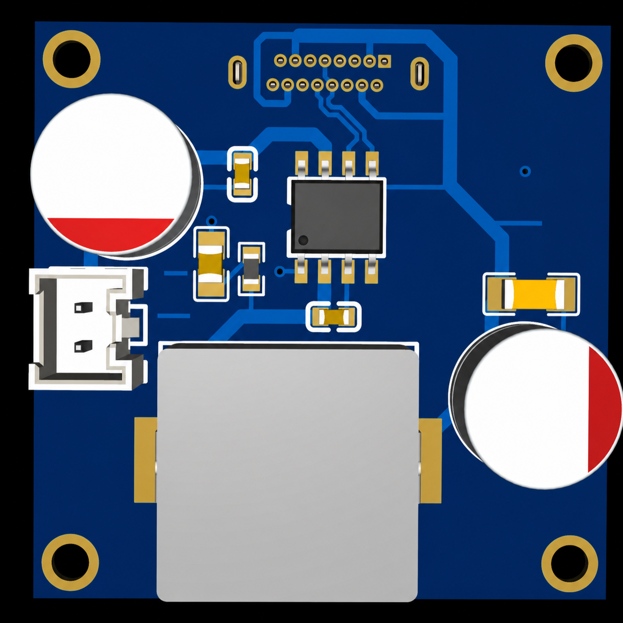 Power Module